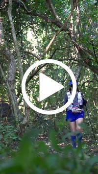 BIB:  <button type="button" onclick="openModal(28067988)" class="btn btn-primary btn-sm float-right" data-toggle="modal" data-target=".modal-high-quality">
                <i class="fa fa-download"></i> Download
                </button>